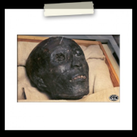 Hlava Tutenchamonovi mumie